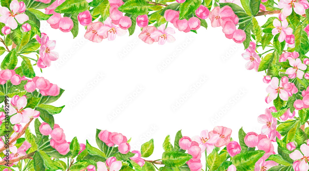 Fototapeta premium Pink spring flowers, buds and leaves floral frame. Watercolor rectangular border with copy space isolated on white. Sakura, cherry, almond, pear, peach flower.