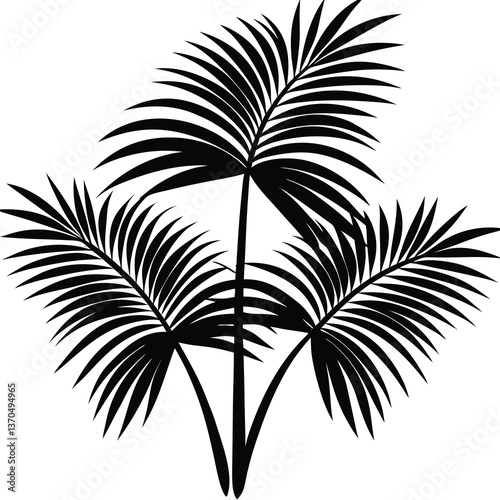 tropical palm fronds vector art design