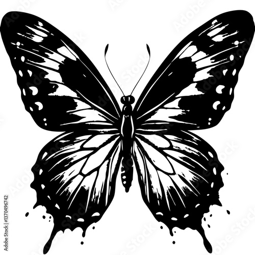 Symmetrical Butterfly Illustration with Wing Vein Detail