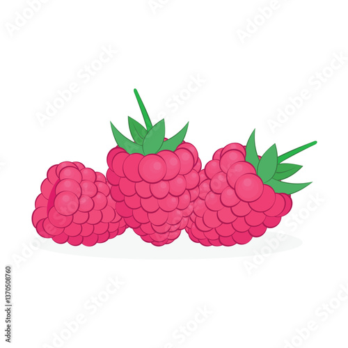 Raspberries in white background