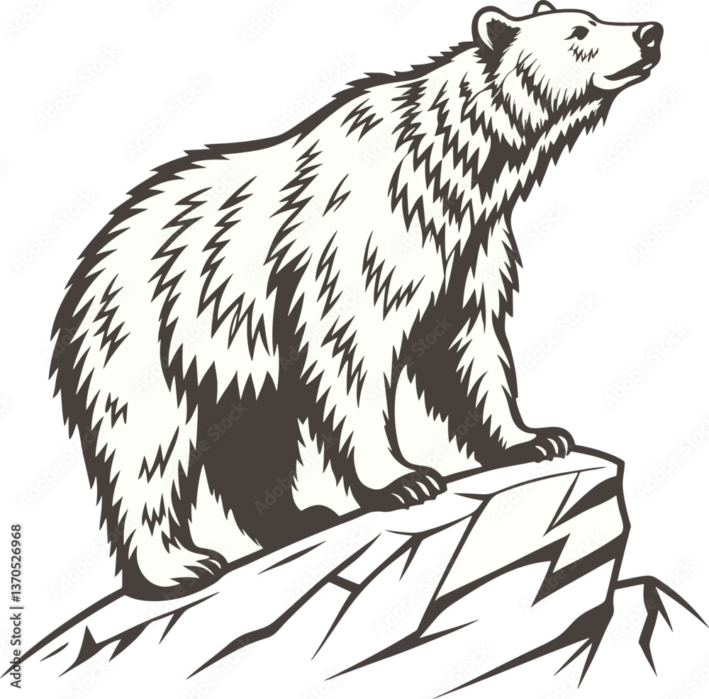 Fototapeta premium vector bear animal art free download.