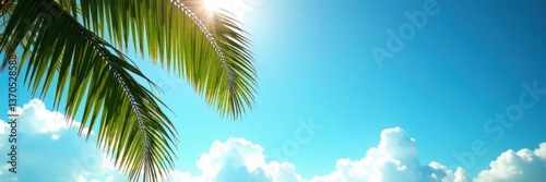 Wallpaper Mural Palm fronds silhouette against cloudless azure , bright, nature, vegetation Torontodigital.ca
