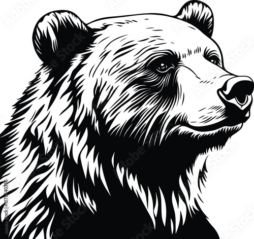  Vector Bear Head Illustration, Black and White Wildlife Portrait. photo