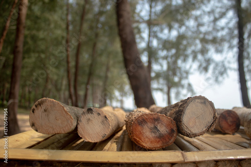 The logs for the surface have been cut off.