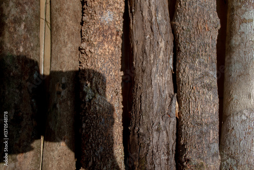 The logs for the surface have been cut off.