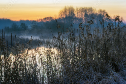 Chlodny poranek nad Stawami Dojlidzkimi, Podlasie, Polska