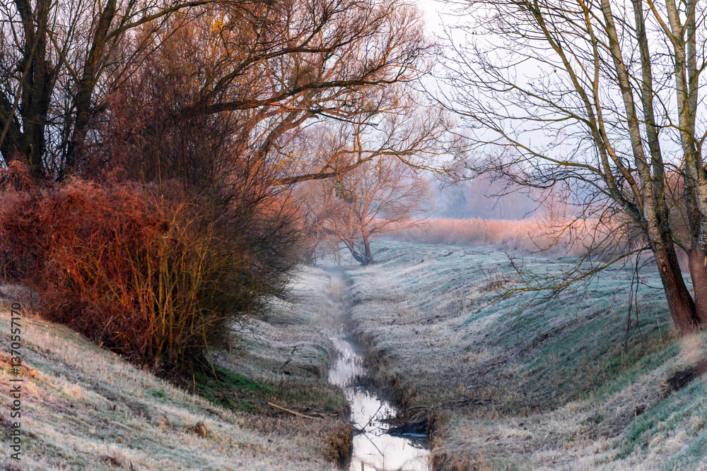 Chlodny poranek nad Stawami Dojlidzkimi, Podlasie, Polska