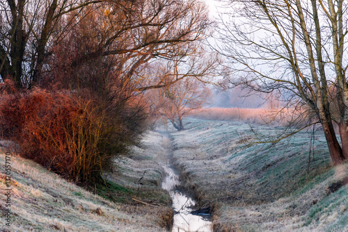 Obraz na płótnie Chlodny poranek nad Stawami Dojlidzkimi, Podlasie, Polska w salonie