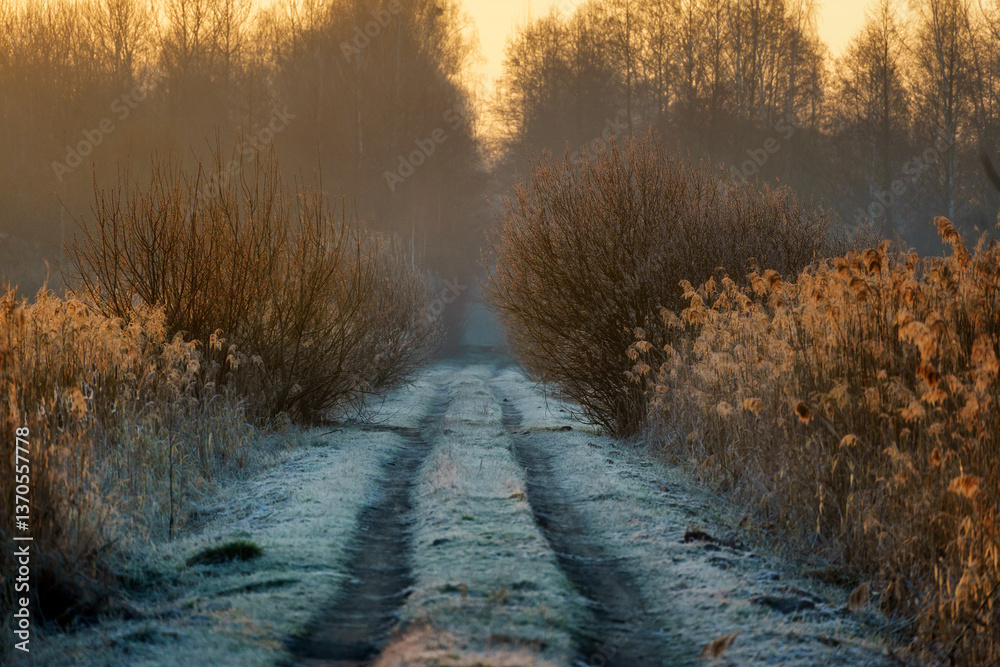 Chlodny poranek nad Stawami Dojlidzkimi, Podlasie, Polska