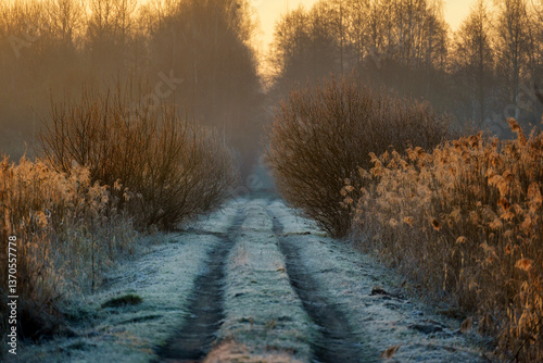 Obraz na płótnie Chlodny poranek nad Stawami Dojlidzkimi, Podlasie, Polska w salonie