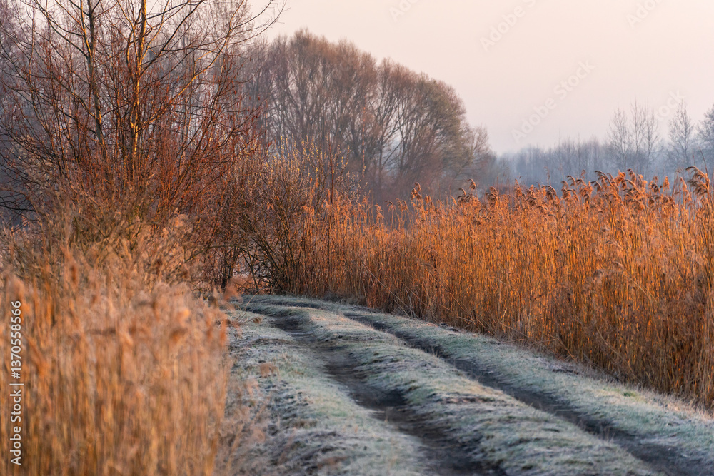 Chlodny poranek nad Stawami Dojlidzkimi, Podlasie, Polska
