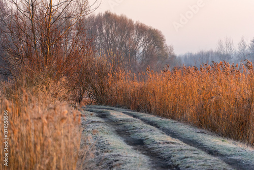 Obraz na płótnie Chlodny poranek nad Stawami Dojlidzkimi, Podlasie, Polska w salonie