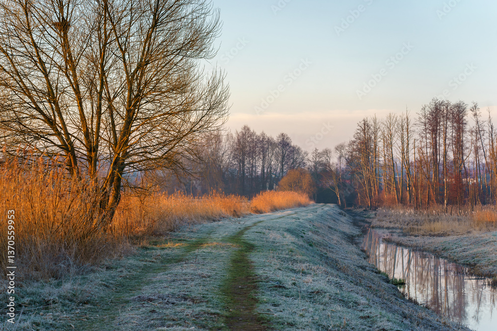 Chlodny poranek nad Stawami Dojlidzkimi, Podlasie, Polska