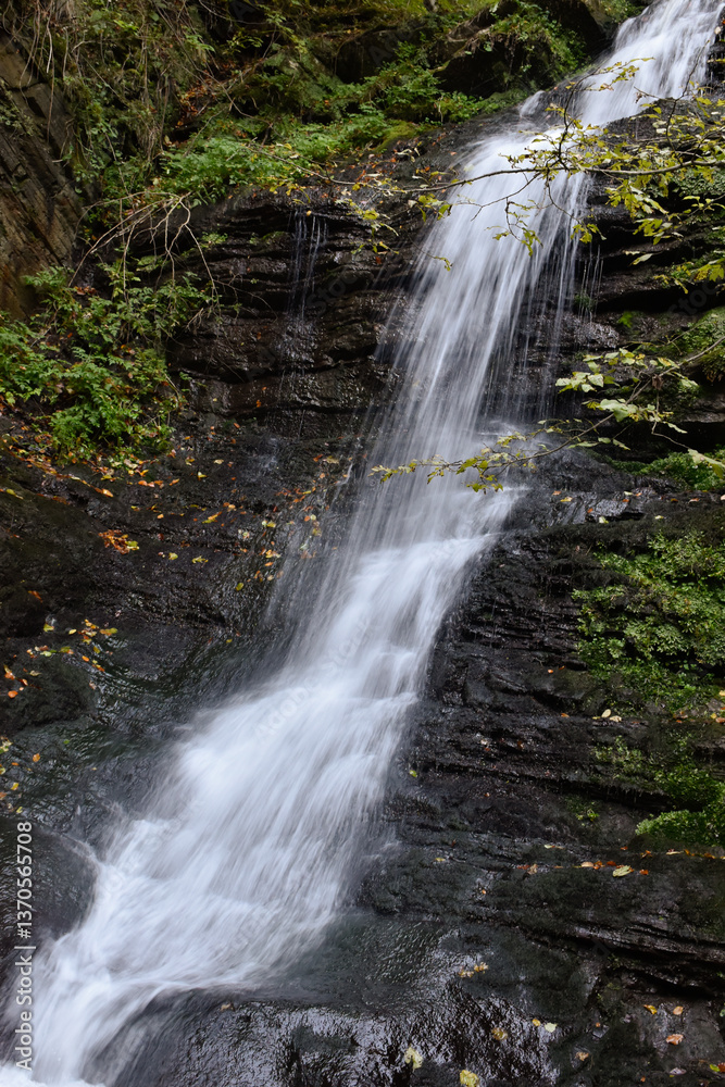 Naklejka premium Laznyi Waterfall in Carpathian mountains, Ukraine. Large stream with clear frothy water flowing down moss-covered rocks. Beautiful autumn landscape, woodland, golden leaves on dark stones.