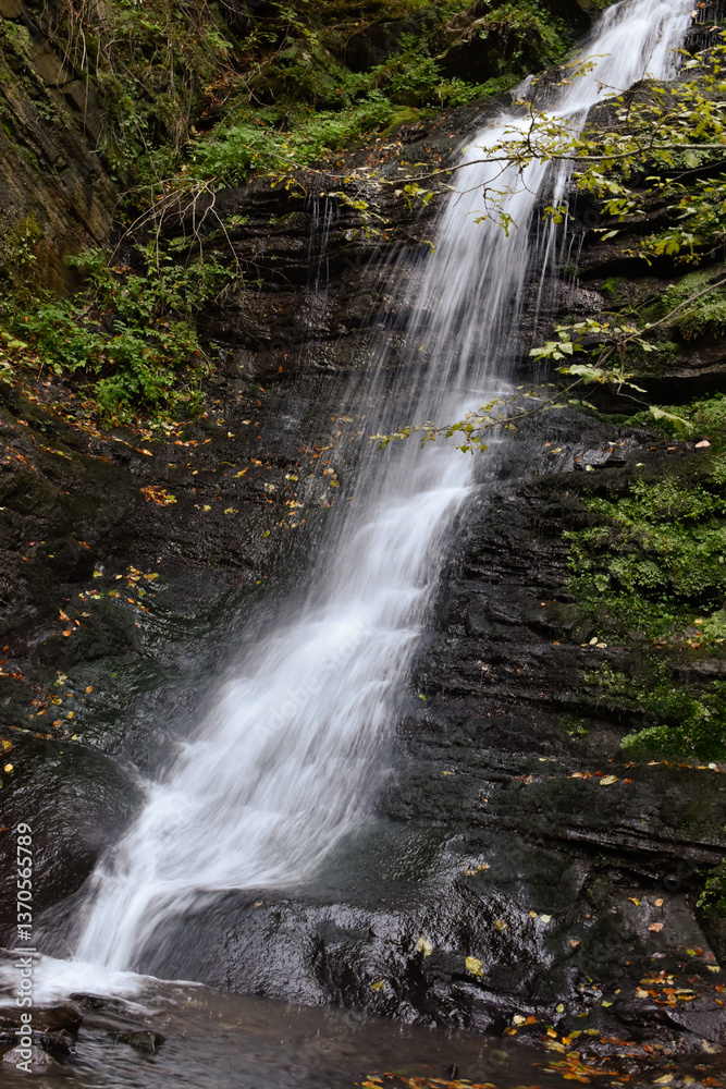 Naklejka premium Laznyi Waterfall in Carpathian mountains, Ukraine. Large stream with clear frothy water flowing down moss-covered rocks. Beautiful autumn landscape, woodland, golden leaves on dark stones. 
