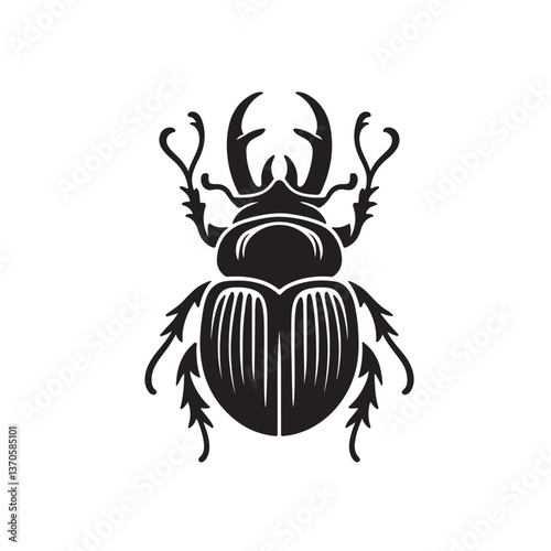beetle vector illustration