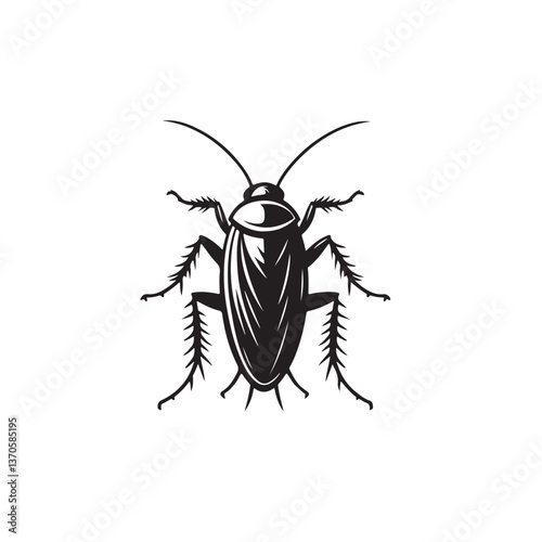 black cockroach isolated on white background