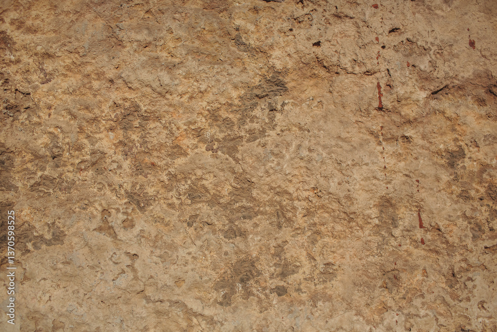 This is a beautifully textured wall showcasing intricate natural patterns and exquisite details This is a beautifully textured wall showcasing intricate natural patterns and exquisite details