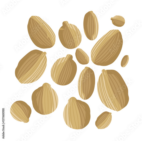 A scattered icon of cardamom seeds with distinct ridged textures and warm golden-brown tones. The hand-drawn style evokes a natural and aromatic spice feel.

