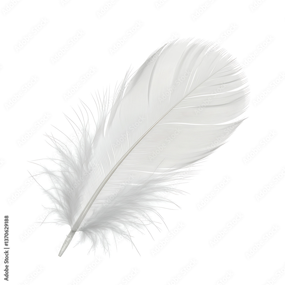 Obraz premium Single White Feather on White Background Soft, Light, Airy Texture