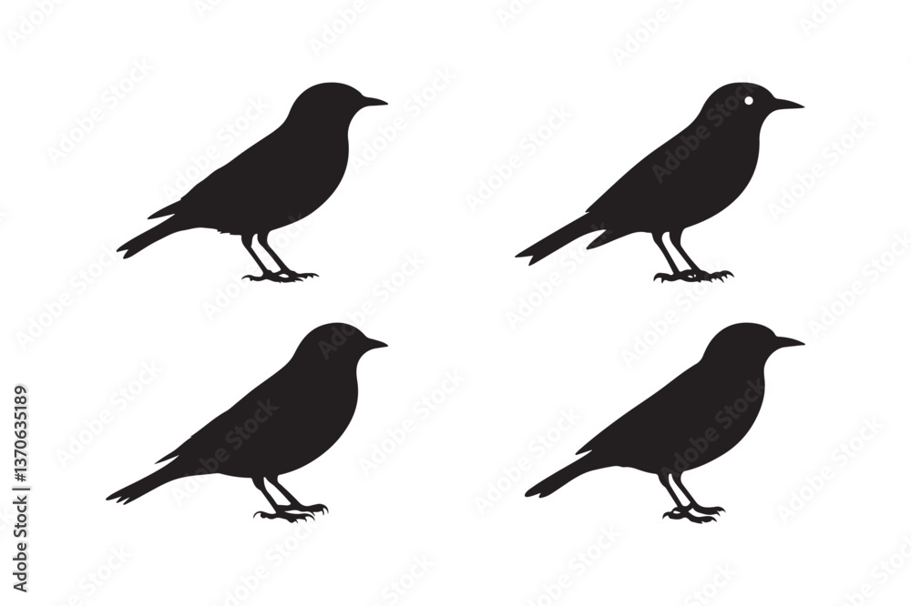Fototapeta premium Bird Silhouette Clipart Sparrow Vector Blackbird Outline Illustration 