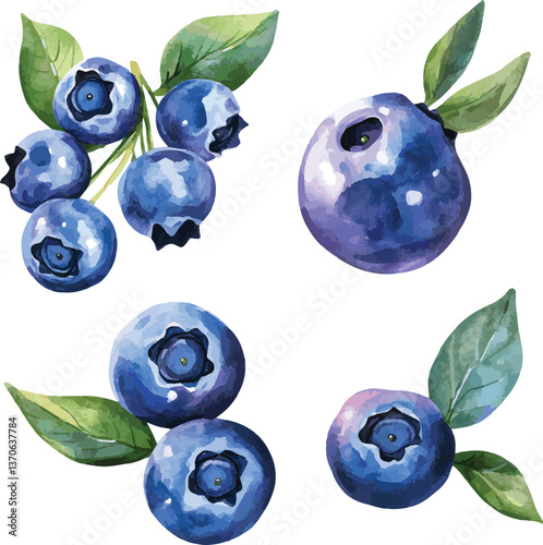 watercolor vector set of delicious blueberries, isolated on white background