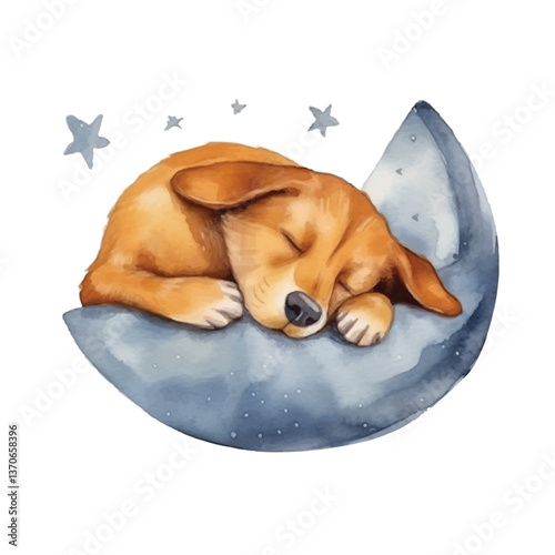 dog sleeping cute watercolors illustration on white background