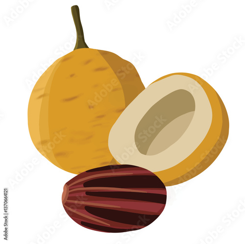 Nutmeg fruit icon in flat design featuring round yellow fruit, sliced open to expose soft beige interior and brown seed, giving a natural culinary essence.

