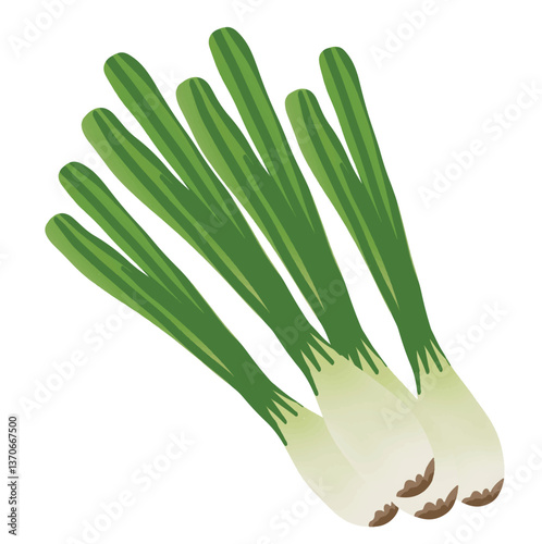 Clean flat-style leek icon featuring long green stalks and neat white bulbs, symbolizing fresh vegetables and natural cooking essentials.


