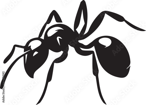 Black and white vector illustration different ant silhouettes in various poses, isolated on a white background