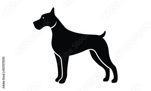 Doberman Standing Alert Profile View
