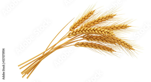 Isolated Bundle of Wheat Stalks