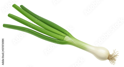 Isolated Green Onion
