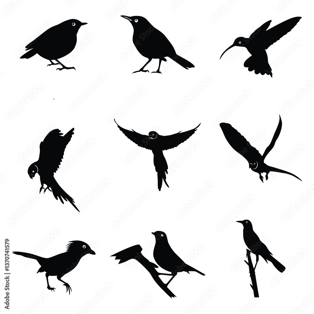 Fototapeta premium Birds silhouettes vector. Birds Silhouettes. Sparrow Silhouette. Raven Silhouette. Large Animal Silhouette Collection.