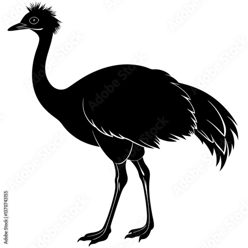 ostrich vector illustration silhouette on white background