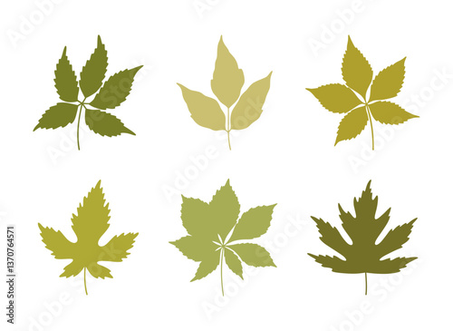 Set of silhouette spring leaves in green colors. Summer background. Foliage of maple, chestnut, and five-leaved ivy, isolated on white. Leaf icons, vector illustration
