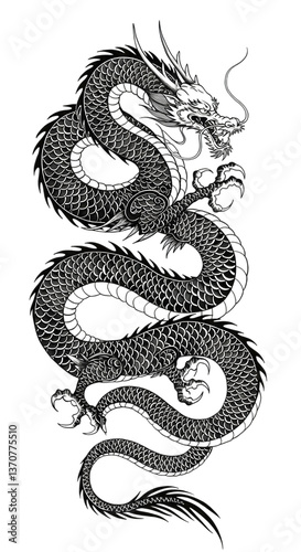 Intricate Black and White Chinese Dragon