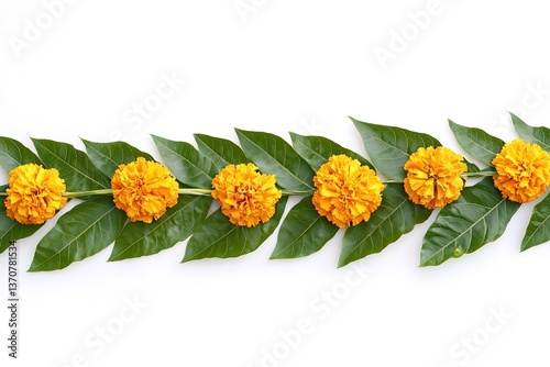 Indian flower garland of mango leaves and marigold flowers. Ugadidiwali rule of third ganesha festival poojas weddings functions holiday ornate decoration. Isolated on white background natural 