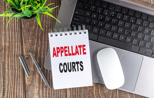 Notepad with text appellate courts on wooden desk with laptop, pen, mouse and green plant