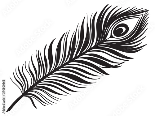peacock feather black silhouette vector silhouette white background 