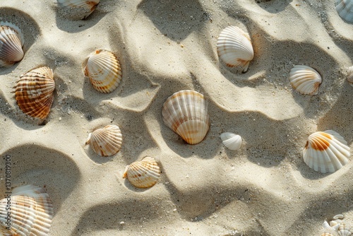 Closeup of Sand with Tidal Ways and Shells on the Beach Full Frame Texture Background