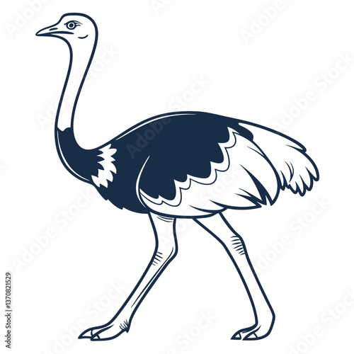 ostrich vector illustration