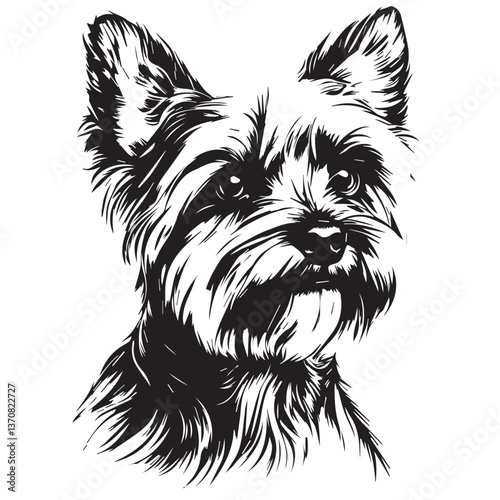Yorkshire Terrier dog face on white background, black and white graphics, vector
