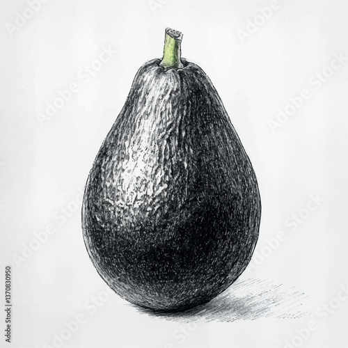 black avocado image on white background, logo, black and white graphics, vector
