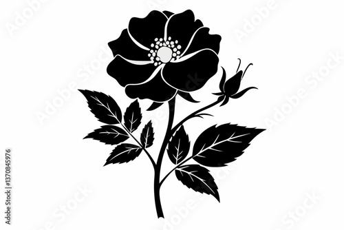 wild prairie rose silhouette line art vector illustration