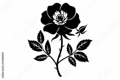 wild prairie rose silhouette line art vector illustration