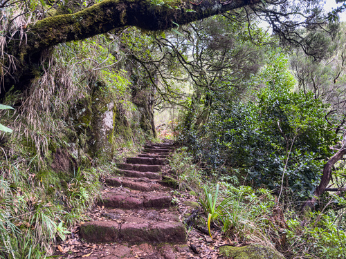Stone steps on forest trail along Levada do Risco in Madeira Portugal photo