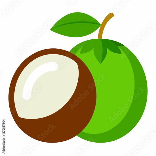 Coconut Fruits vector art illustration  on a white background 