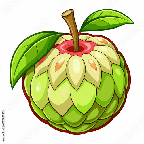 custard apple fruits vector art-illusion 