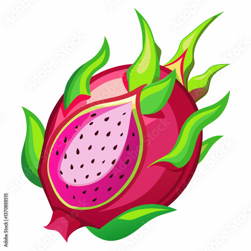 Dragonfruit Fruits vector art illustration